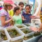 Danube Day 2015 in Austria: learning about the river is fun! © Danube Day Austria