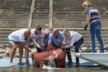 hr_2017_2_vukovar_clean-up_6-_mg_1964_c_grad_vukovar_miroslav_slafhauzer.jpg?itok=CpwEB5l8