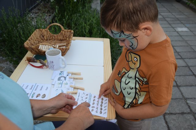 Young boy looks at different animals on a card