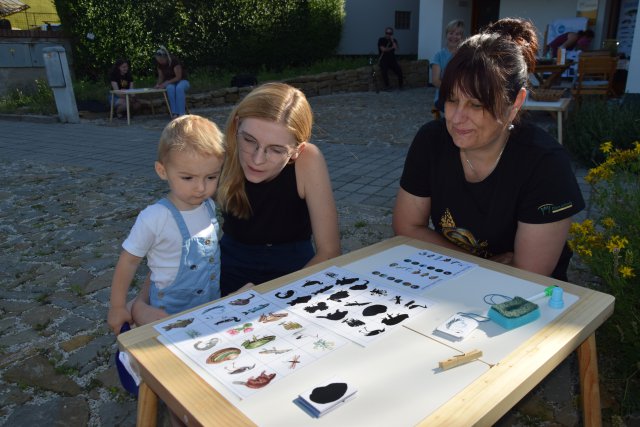 Two women and a young boy sit at a table, looking at various wildlife within the Danube basin