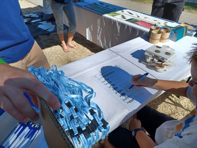 A young child holds a pen over a paper with several different types of fish. 