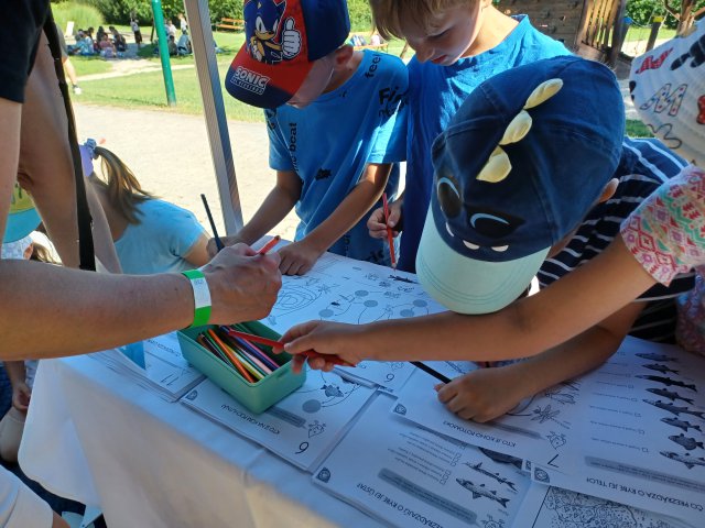 Three children draw on papers with fish. 