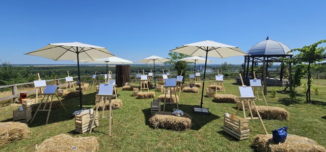 Umbrellas on grass at an event outside.