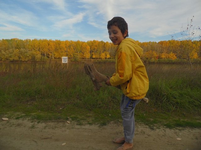 A smiling child in a yellow rain jacket stands barefoot beside a grassy lakeside area, holding a large piece of driftwood with autumn trees and a cloudy sky in the background.
